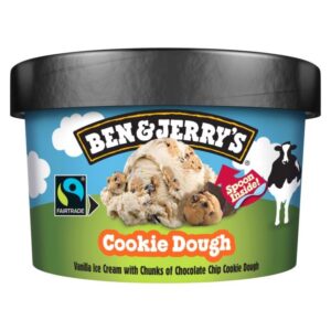 Ben & Jerry's Chocolate Fudge Brownie 100ml Cup